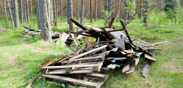 Debris Removal Service in Newark